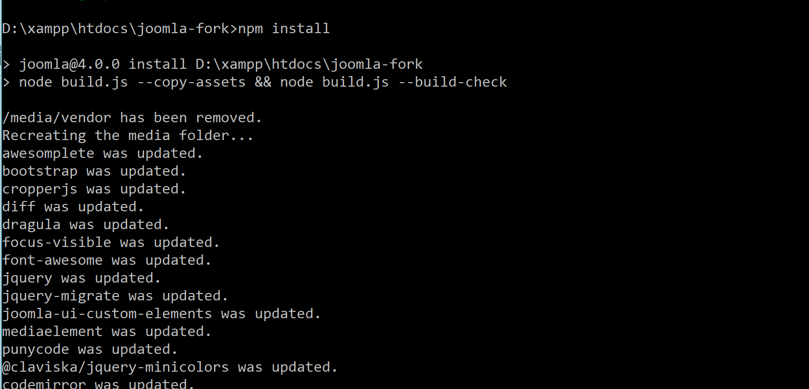 npm install